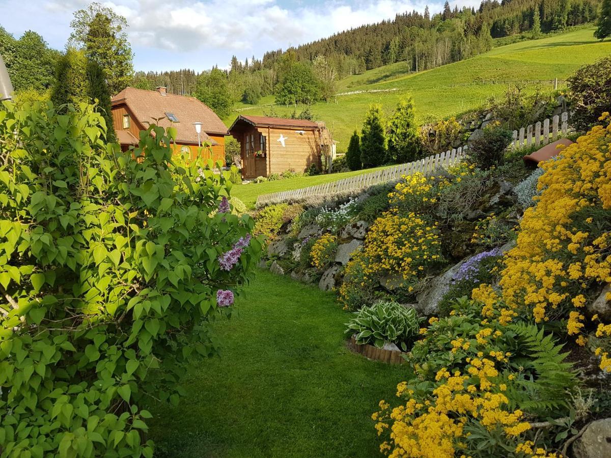 Appartement Bergtraeume Haus im Ennstal Eksteriør billede